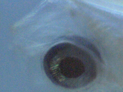 AL_263_6.jpg