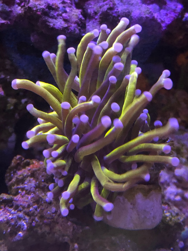 237116812d28db673c79679f81b546e4.jpg