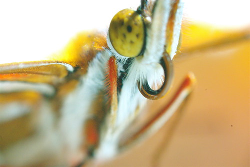 3243176372_11b53d011f.jpg