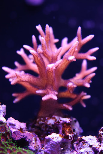 DSC_3125.JPG