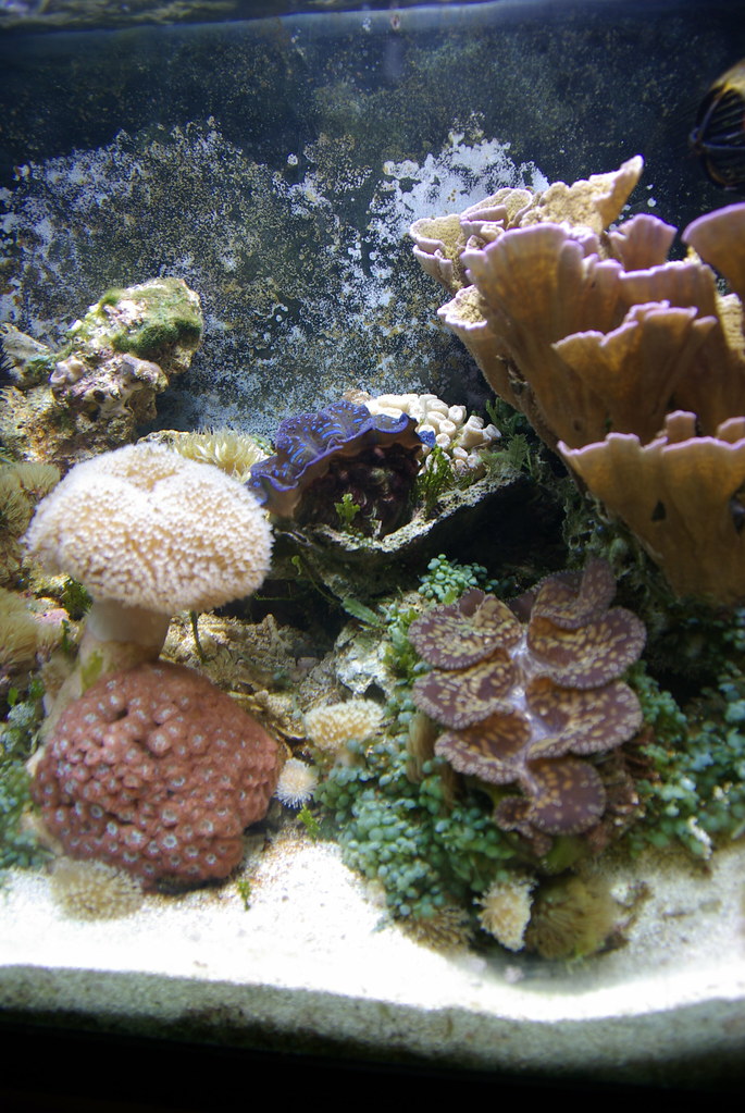4680936682_9dfbc3b133_b.jpg