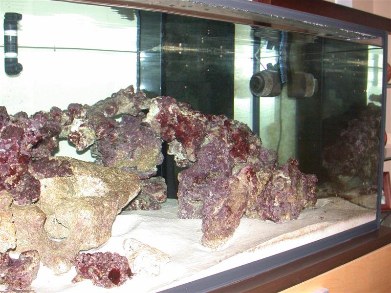 DSCN2338.JPG