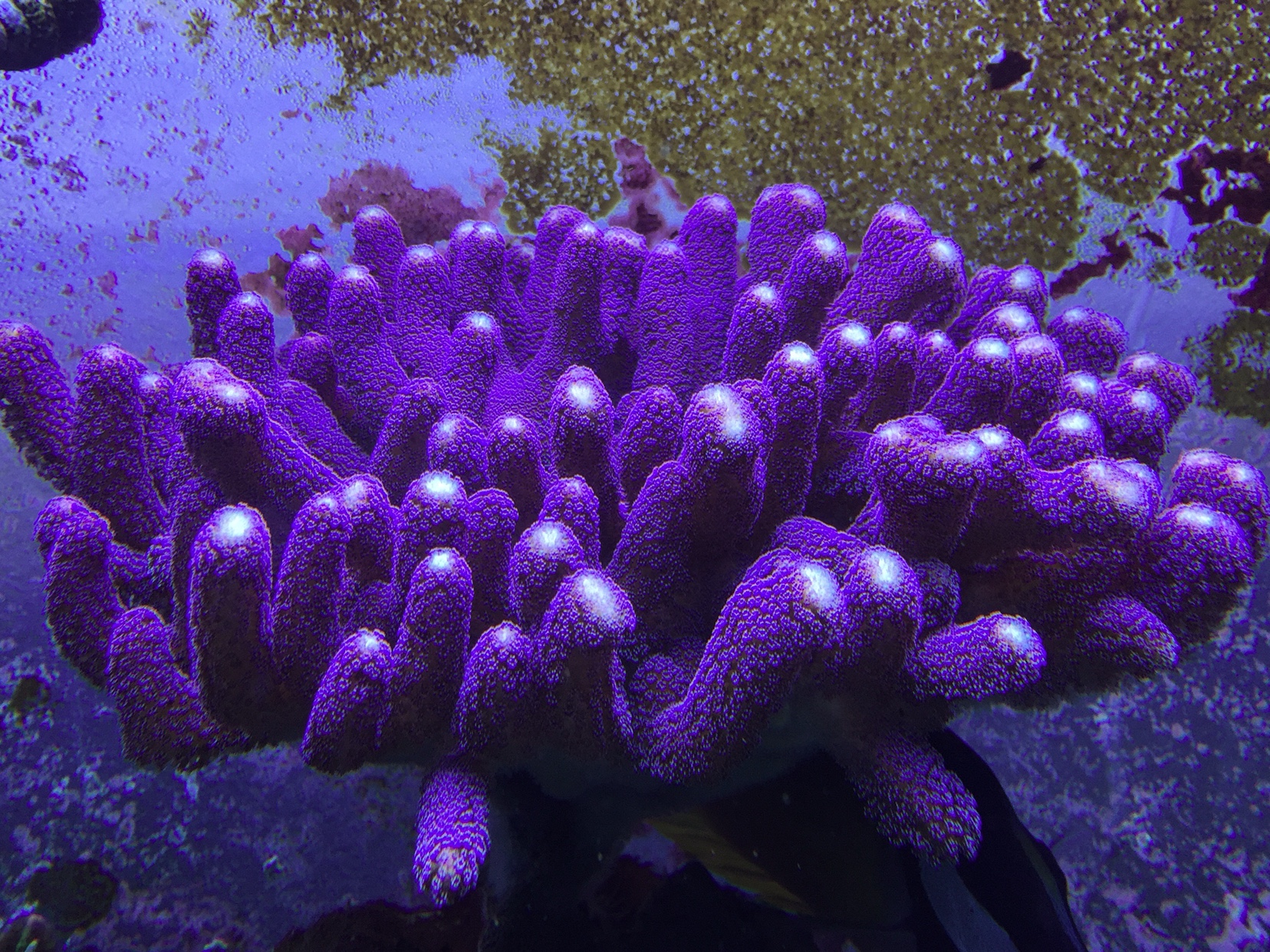 6d73701366ca2f87ef4a10cf4e528878.jpg