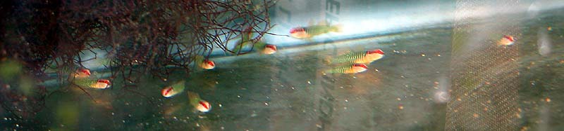DSCN7683.jpg
