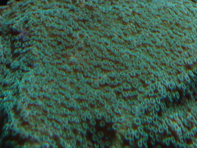 3595962545_d6f028e50c_o.jpg