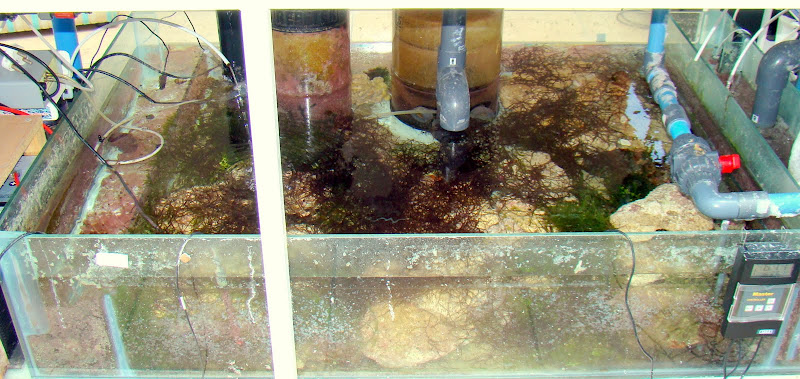 sump.jpg