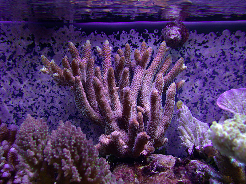 DSCN0925.jpg