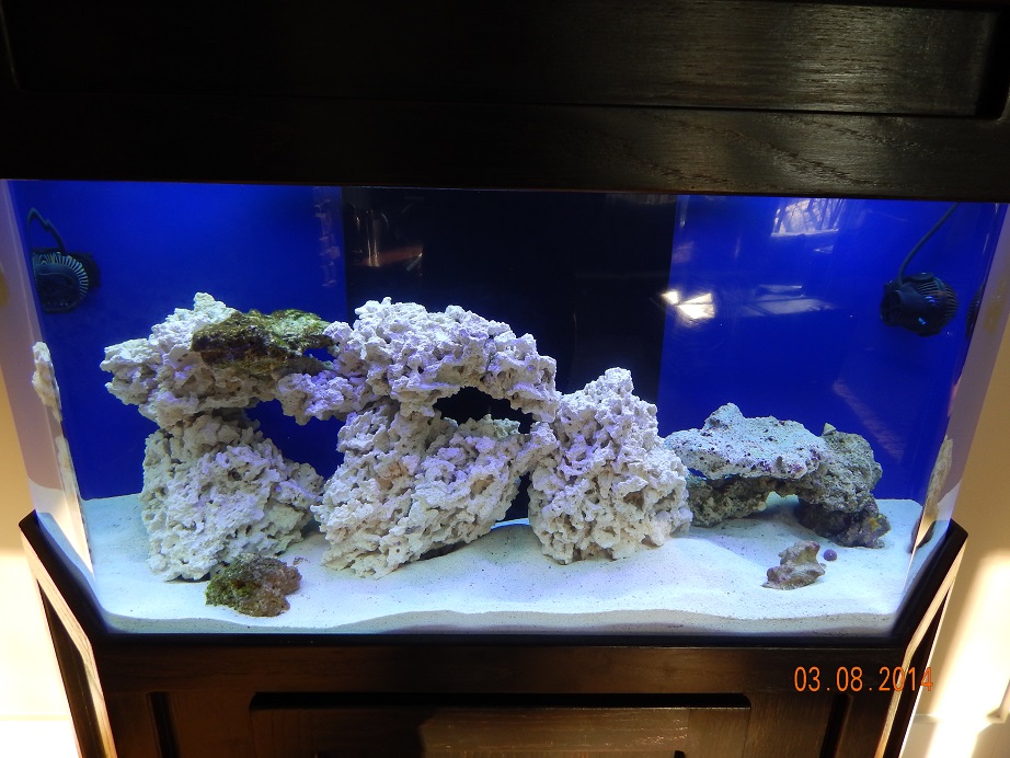 new_aquascape.jpg