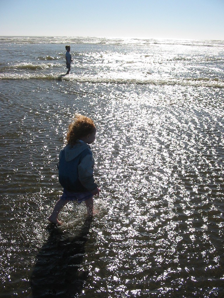 393786940_502fc4a58e_b.jpg