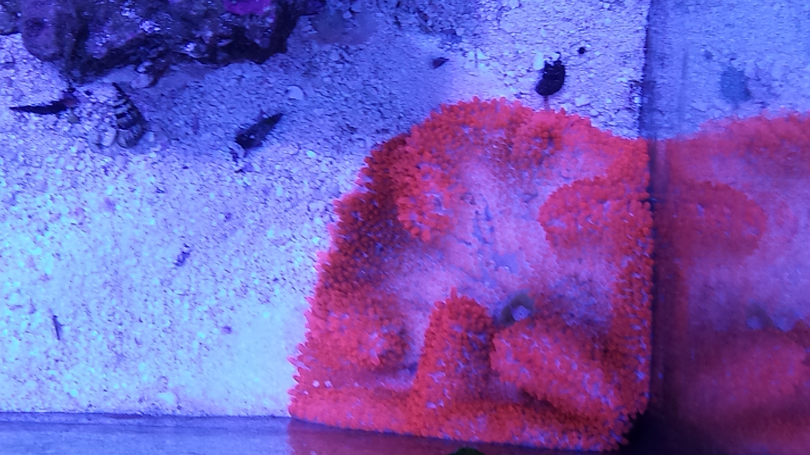 20131102_200602-X3.jpg