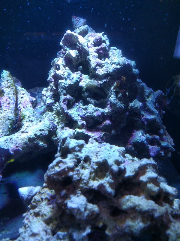 30594812140_e4115b14c6_c.jpg