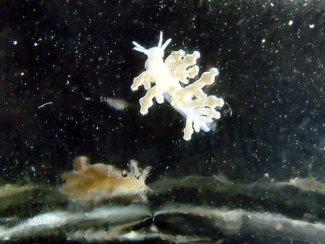 monti_nudi14.jpg