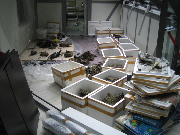 9-old-2005-1.jpg