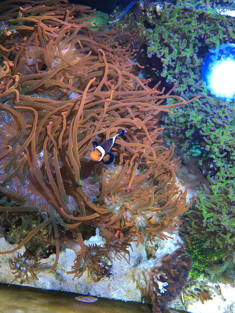 IMG-4090.jpg