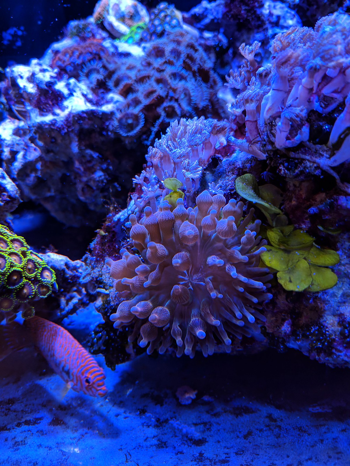 32056683548_dd315a7054_h.jpg