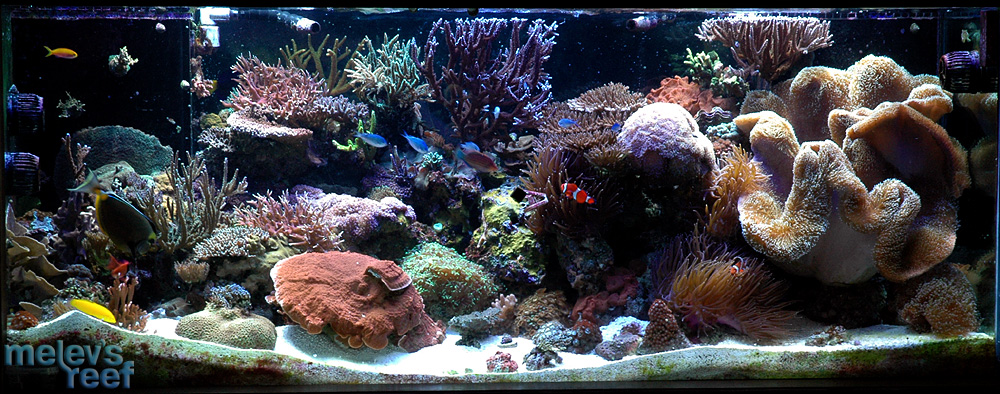 fts_100709.jpg