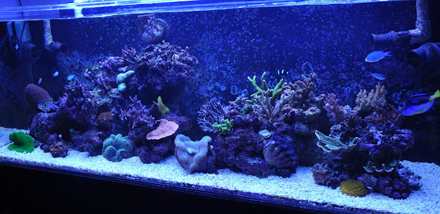 Picture%20138.jpg