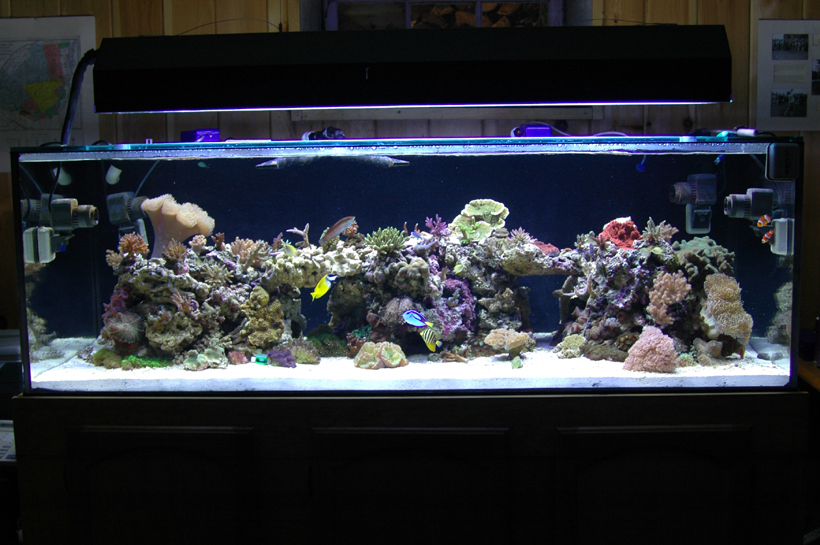 tank5.JPG