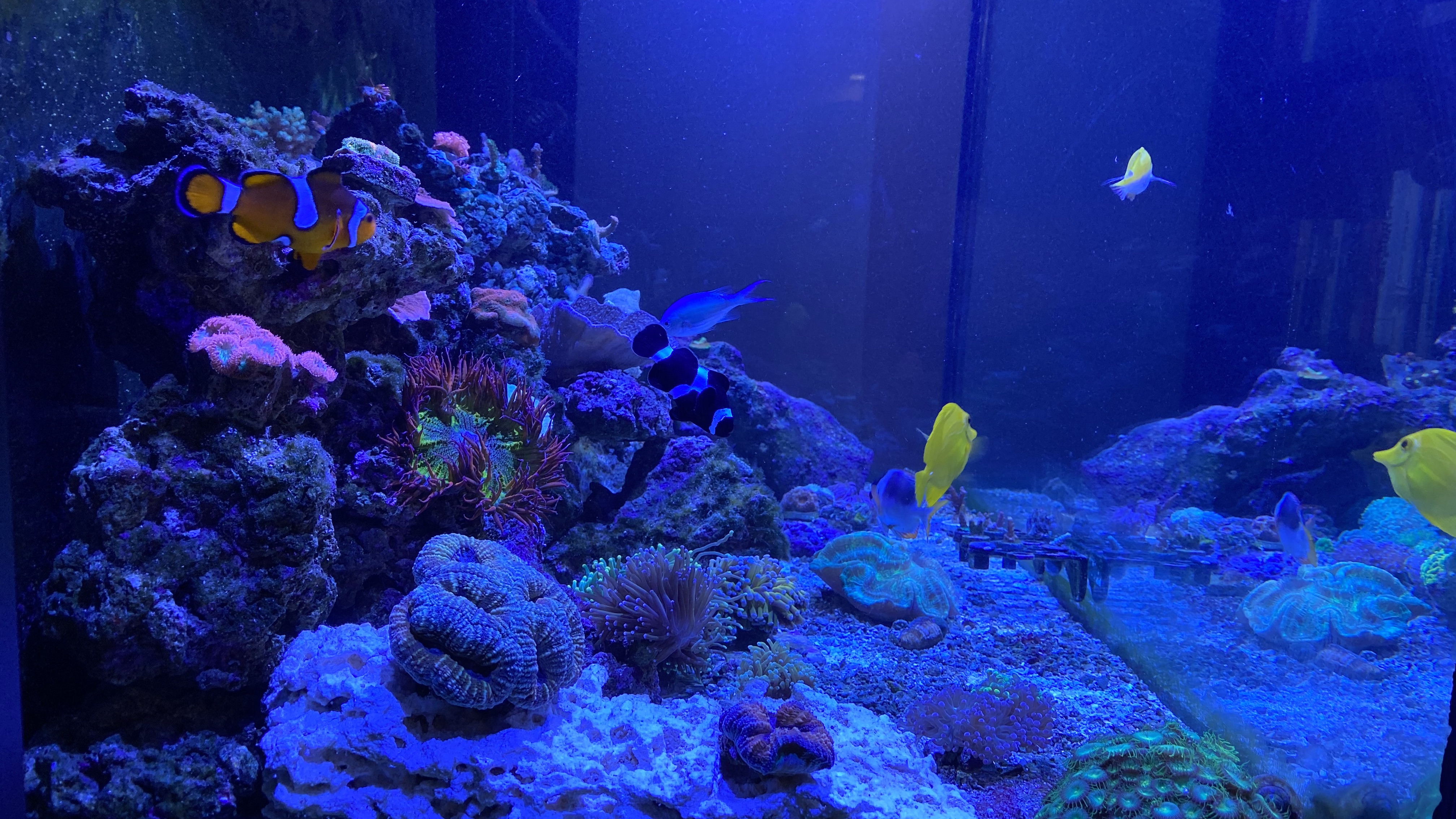 9b64ca32ca04d8373bdc4e8204f04cc6.plist