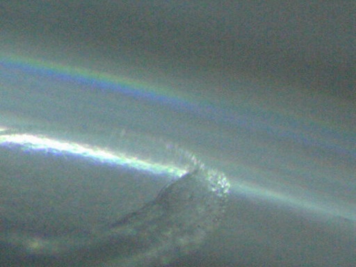 RSB_0_9.jpg