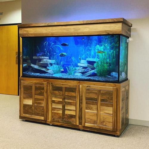 www.customaquariums.com