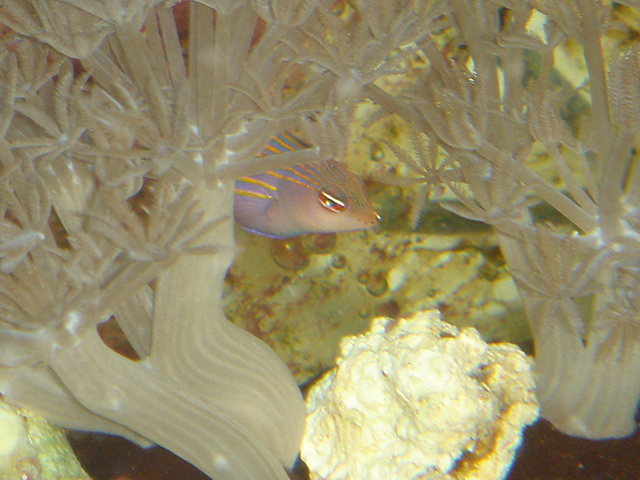 DSC01209.JPG