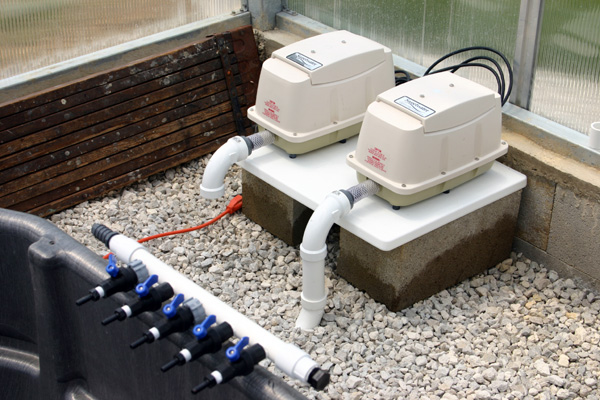 7-21-pumps.jpg