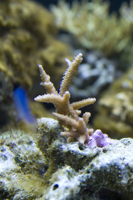 270-aquarium-6139.jpg