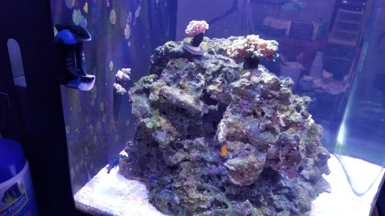 e6ccd671dbc40ecf43dac419e92de525.jpg