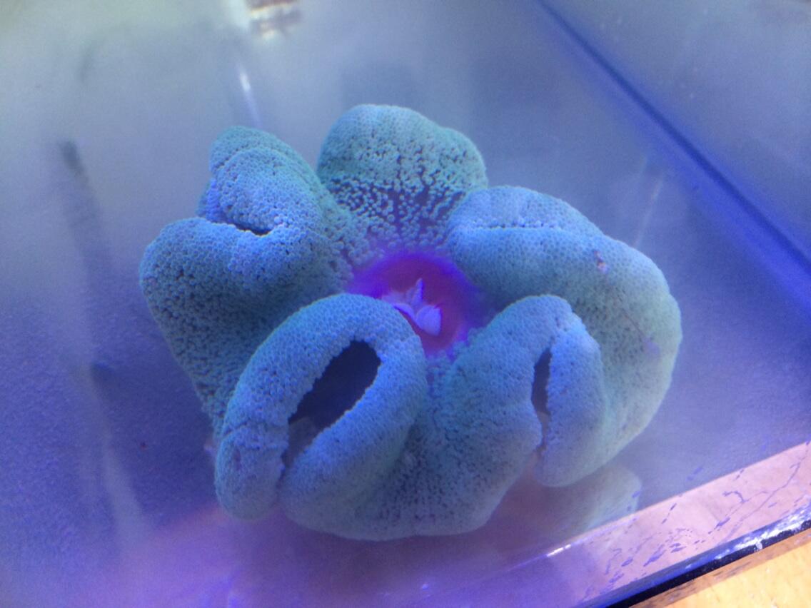 BpUYSZvIYAAq1nF.jpg:large