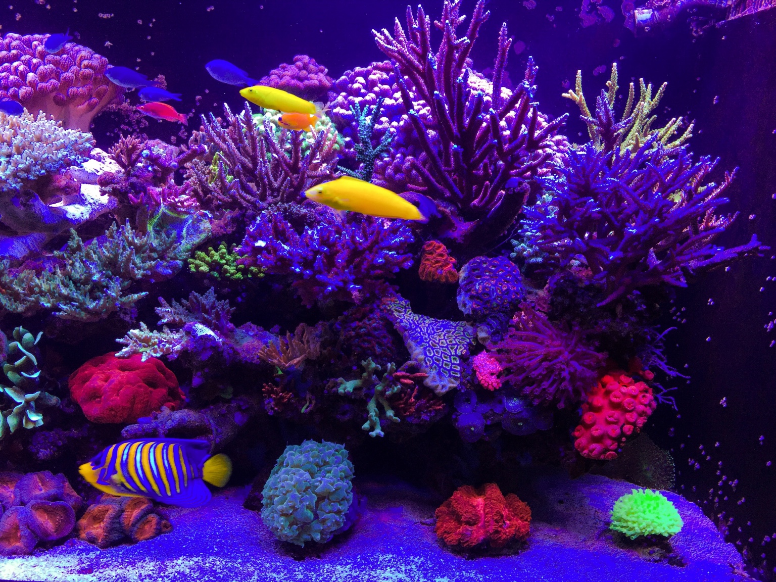 fe7b32297bc3b42dce58a515dc6401e6.jpg
