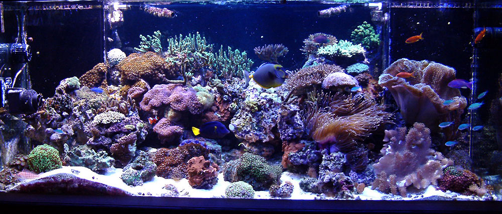 fts_080107.jpg