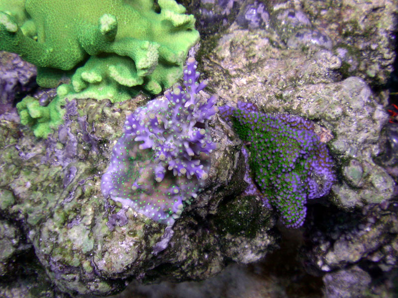 DSCN3518.jpg