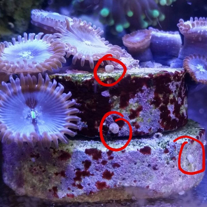 2014-09-26-09-26-46-jpg.1332