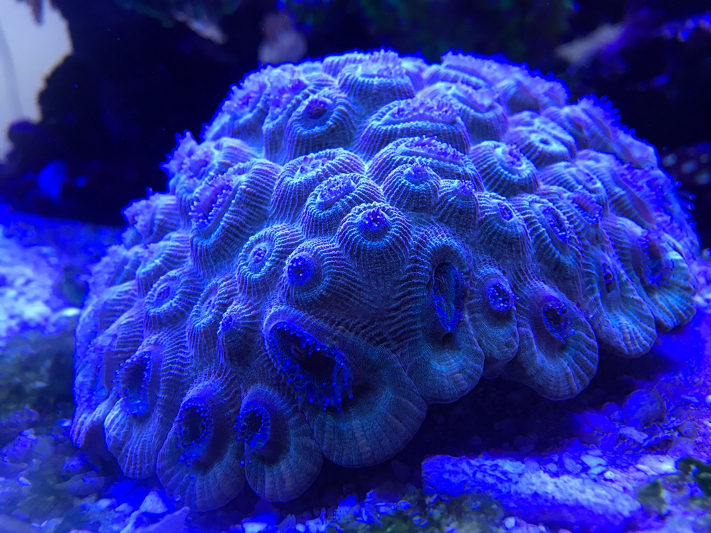 21f5ef73ce81e7c888e9ec481acb8e60.jpg