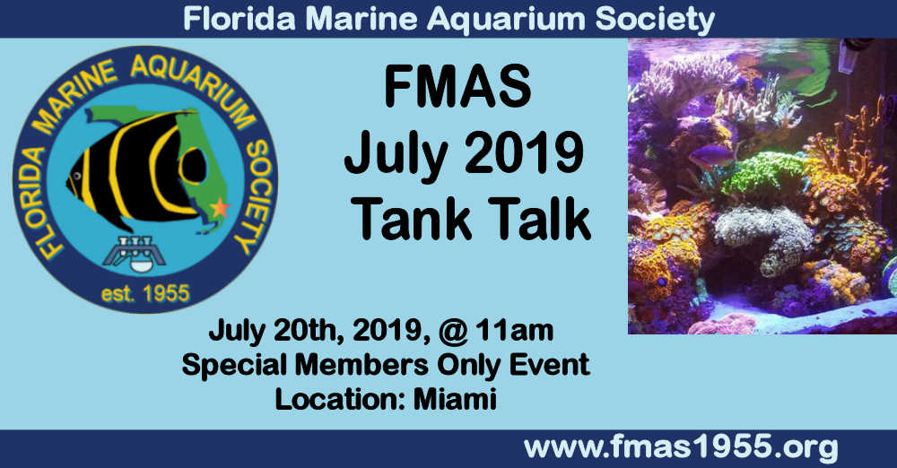 FMAS-FB-tank-talk-july-2019.jpg