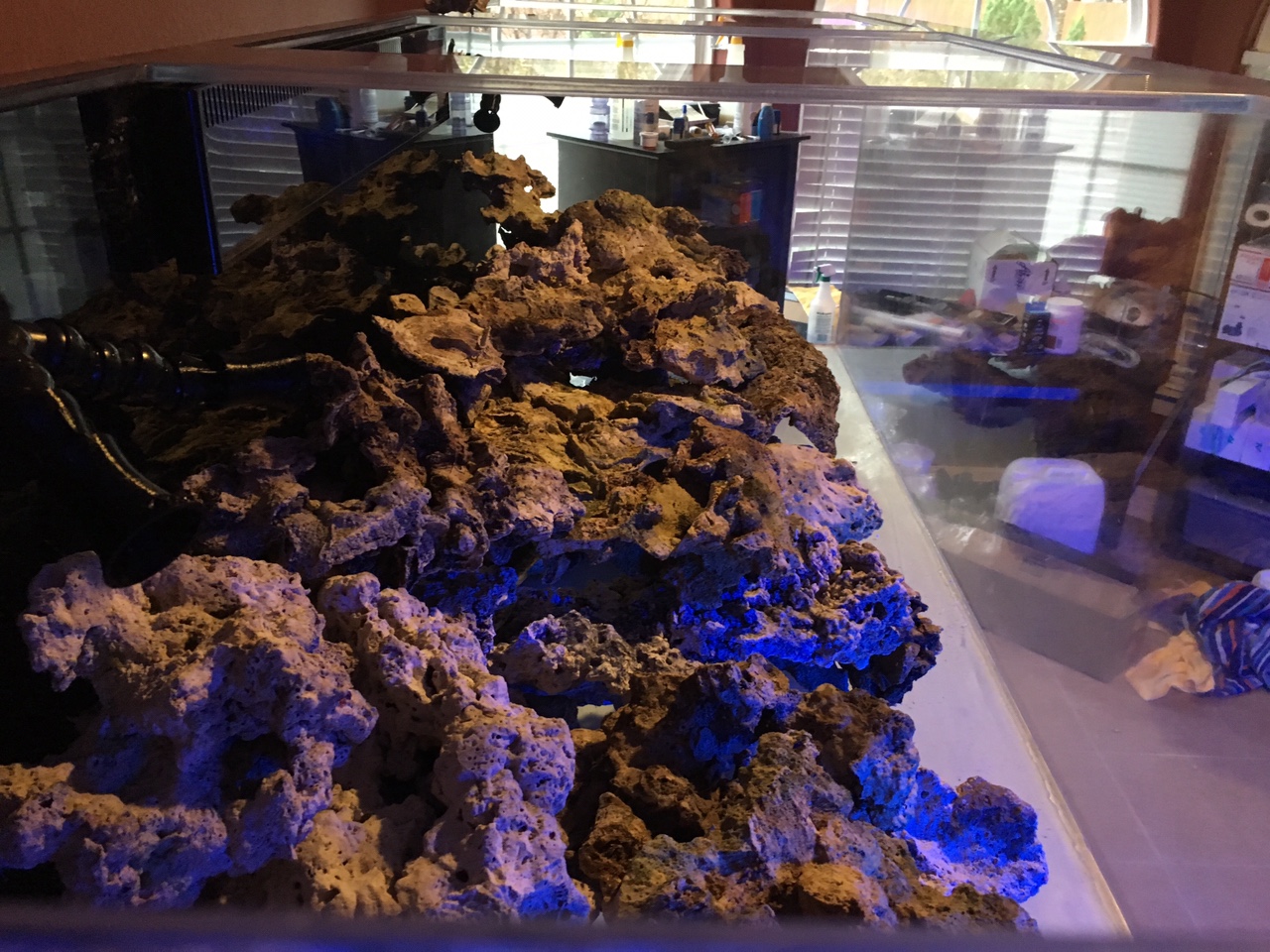 436ab00843c02fb51cb4df7fe13d9ff6.jpg