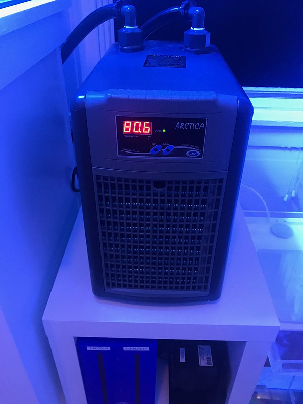 47895888181_6498596d38_c.jpg