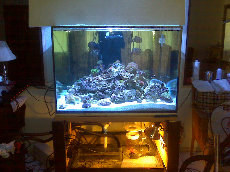 IMG00177.jpg