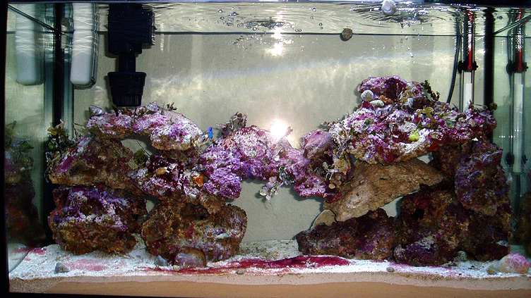 tank-02-22-05.jpg