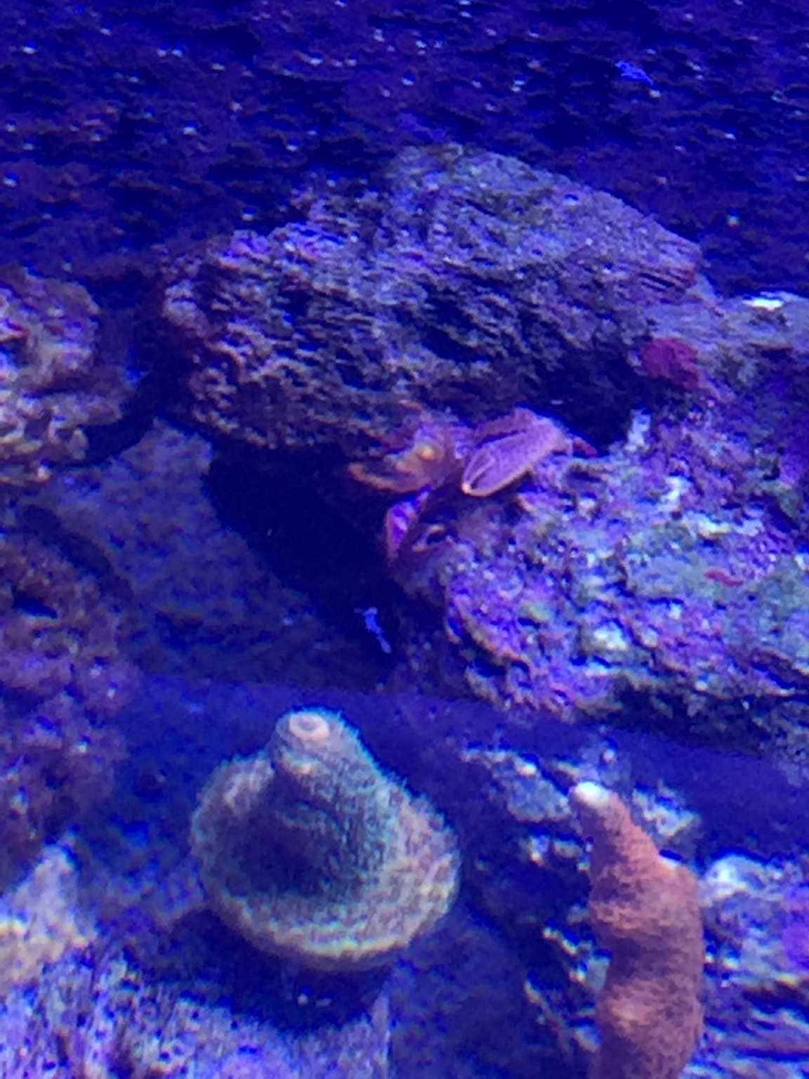 9aeac2a1cf431f0d1794ccca05c5eef0.jpg