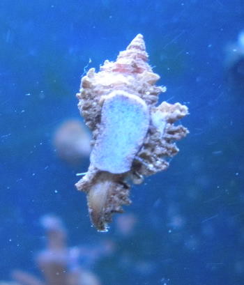 4590266480_7ac8183d24.jpg