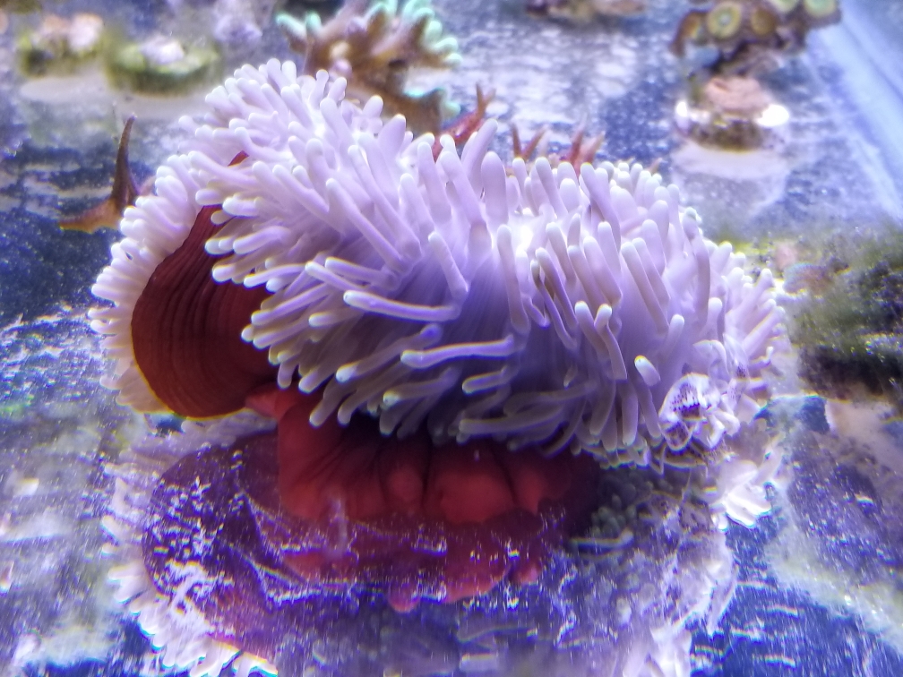 b6498673592b6eca09a65585b8e32fa0.jpg