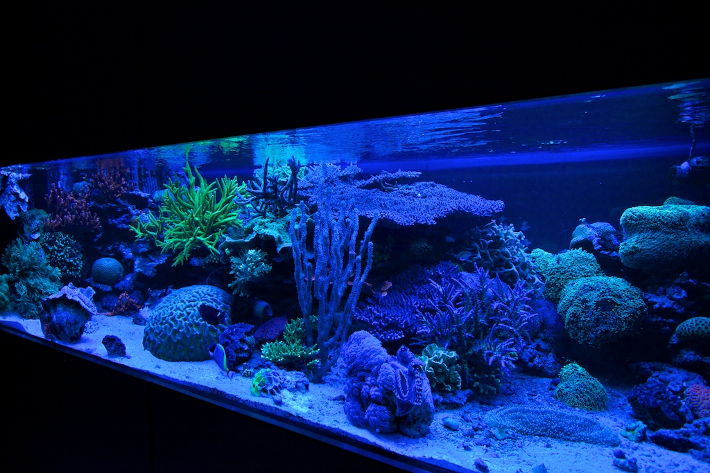 201108-15.jpg