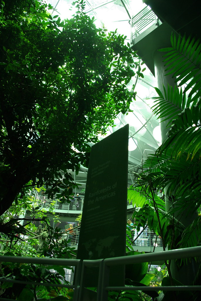 3140676276_b8fc56137d_b.jpg