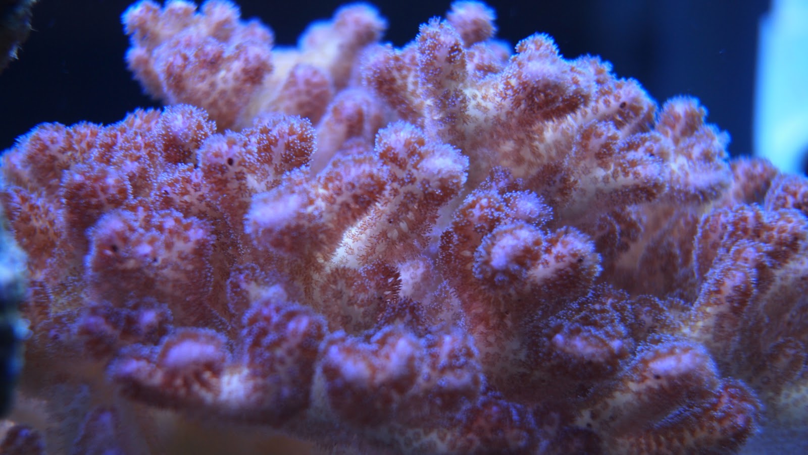 P9200394.JPG