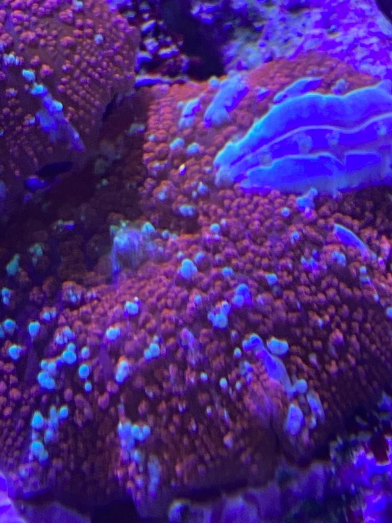 9197242af1e67d0ce3930e4719eabbf7.jpg