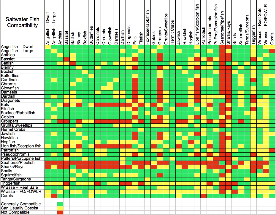 Marine-Fish-Compatibility-Chart1.jpg