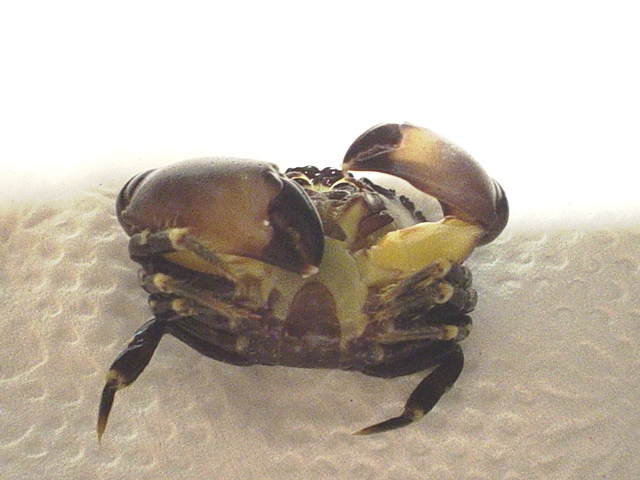 96114DSC01717.JPG.jpg