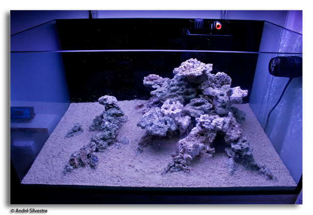 aquascape2.jpg